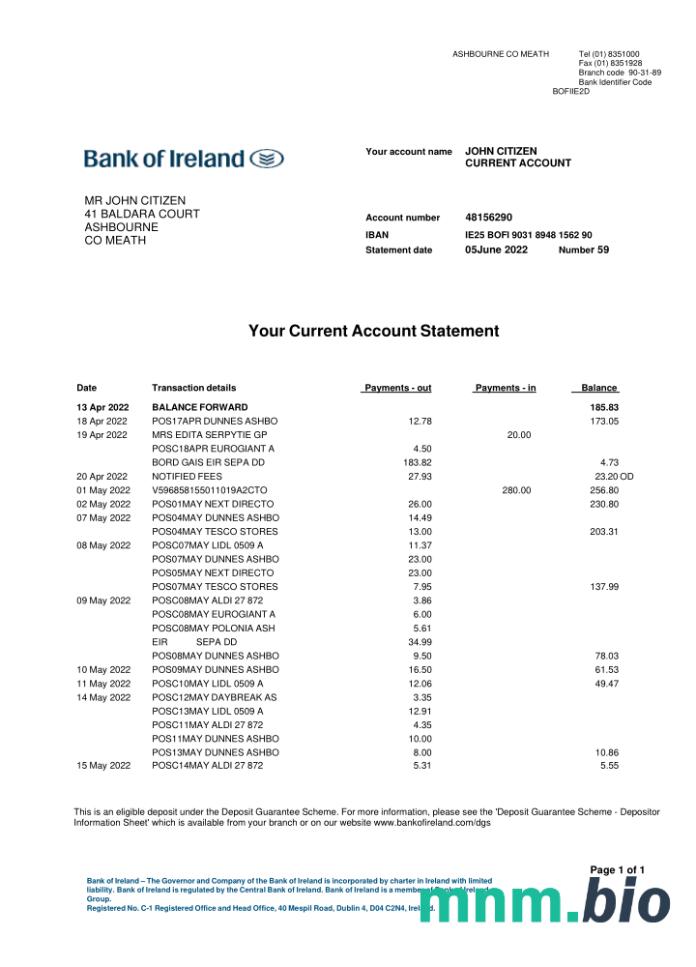 Ireland Allied Irish Banks (AIB) wyciąg z konta Word i szablon PDF, 2 strony